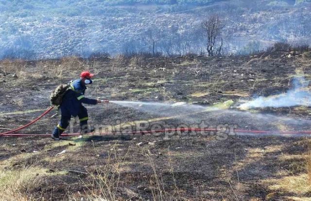 Λαμία: Πρόλαβαν τη μεγάλη πυρκαγιά στη Δίβρη (ΦΩΤΟ)