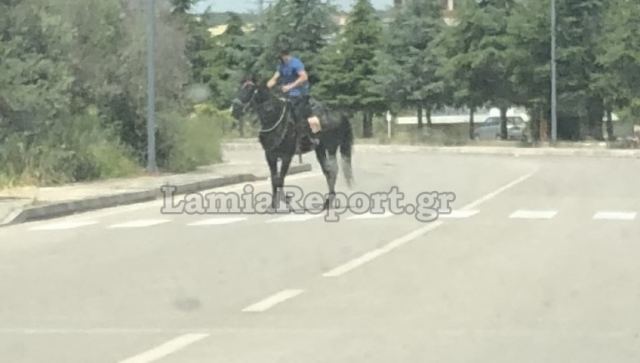 Λαμία: Κυκλοφορεί με άλογο στην πόλη - ΒΙΝΤΕΟ