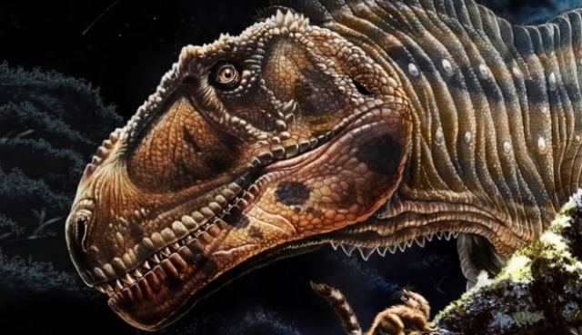 Αργεντινή: Ανακαλύφθηκε νέο είδος γιγαντιαίου δεινοσαύρου με μικρά χέρια, όπως ο Rex