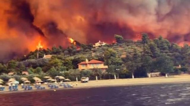 Τριαντόπουλος: Δημοσιεύτηκε η ΚΥΑ για την ενίσχυση των ελαιοτριβείων στις πληγείσες περιοχές από τις πυρκαγιές