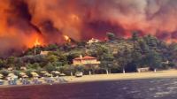 Τριαντόπουλος: Δημοσιεύτηκε η ΚΥΑ για την ενίσχυση των ελαιοτριβείων στις πληγείσες περιοχές από τις πυρκαγιές