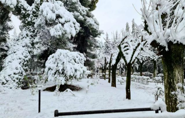 Φλώρινα: Ζώντας στους -25 βαθμούς - Τι λένε οι κάτοικοι του πιο παγωμένου χωριού στην Ελλάδα