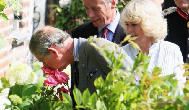 Ψάχνει κηπουρό ο βασιλιάς Κάρολος: Η αγγελία και ο μισθός των... 46.000 ευρώ!