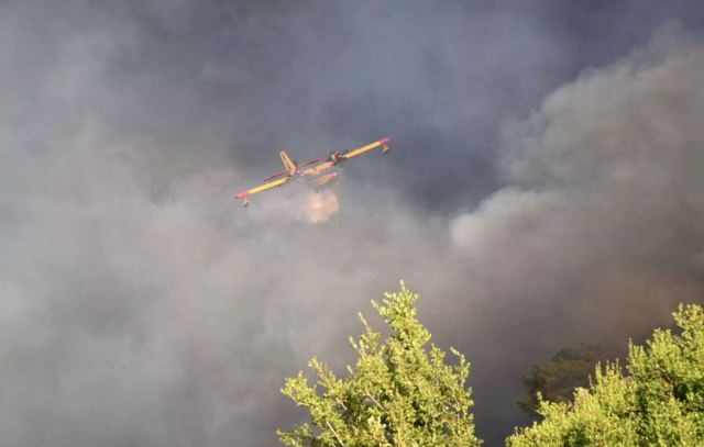 Φωτιά στο Κιλκίς: Ισχυρές δυνάμεις της πυροσβεστικής στο σημείο