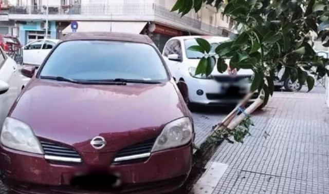 Πάρκαρε το αυτοκίνητό του πάνω σε κορμό δέντρου και τον μήνυσε ο Δήμος Θεσσαλονίκης
