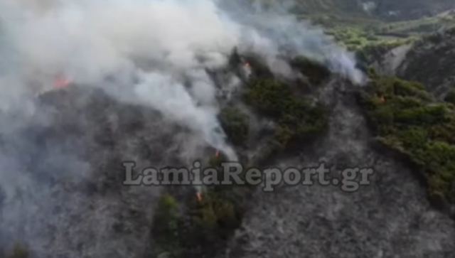 Μάχη με τις φλόγες στη Λοκρίδα - Δείτε εικόνες από ψηλά
