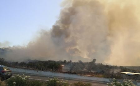 Νέα πυρκαγιά στην Υλίκη δίπλα στην εθνική οδό - ΒΙΝΤΕΟ