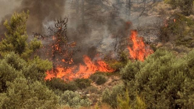 Σε εξέλιξη πυρκαγιά στο δάσος Σκρα στο Κιλκίς