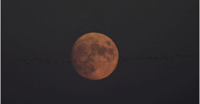 Πανσέληνος Οκτωβρίου 2020: Το πρώτο φεγγάρι του φθινοπώρου - Πότε κορυφώνεται
