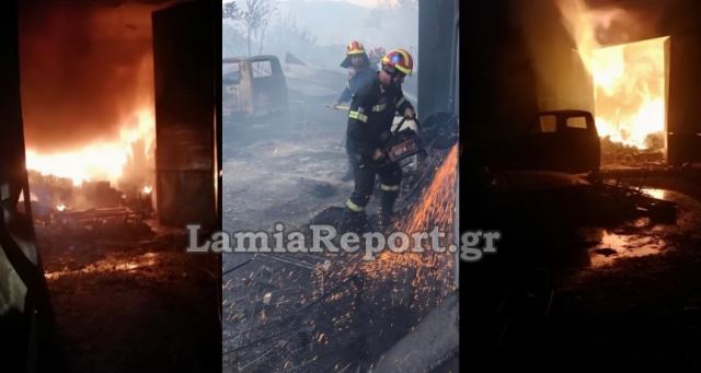 Ολονύχτια μάχη με τις φλόγες στη δυτική Φθιώτιδα - Δείτε εικόνες