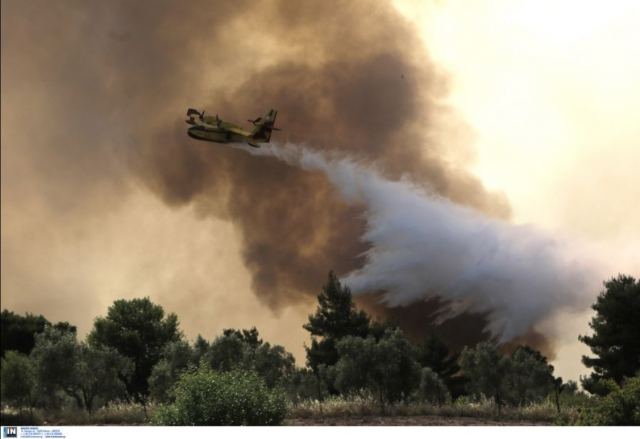 Φωτιά στα Γεράνεια Όρη: Απανωτές αναζωπυρώσεις - Εκκενώθηκαν δύο μικροί οικισμοί