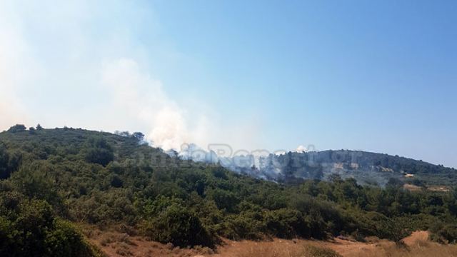 Πυρκαγιά στο Καπαρέλλι Βοιωτίας