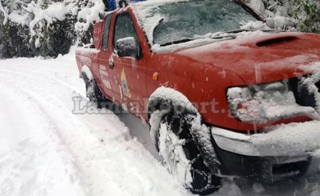 Ευρυτανία: Απομάκρυναν δέντρα που έπεσαν στο δρόμο από το χιόνι (ΒΙΝΤΕΟ)