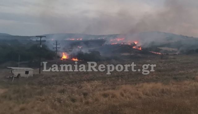 Πυρκαγιά σε τρία μέτωπα στο Παλαιοχώρι Λαμίας (ΒΙΝΤΕΟ-ΦΩΤΟ)