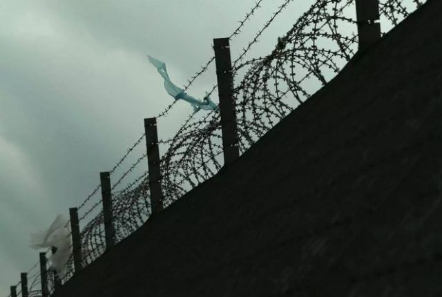 Φυλακές Κορυδαλλού: Εκδιδόμενες, σουβλάκια και τσίπουρα – Αποκαλύψεις σοκ (video)