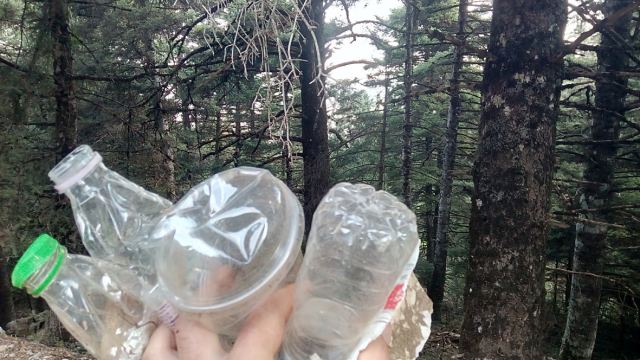 Ελευθεροχώρι: Γέμισαν το δάσος με πλαστικά...
