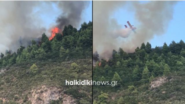 Άγιο Όρος: Μεγάλη φωτιά - Ενισχύονται οι πυροσβεστικές δυνάμεις (βίντεο και φωτογραφίες)