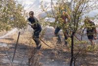 Πυρκαγιά στην Ελάτεια: Έσωσαν το άλσος - Κάηκαν πρόβατα - ΒΙΝΤΕΟ