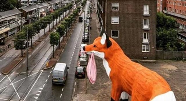 Μια γιγαντιαία &quot;αλεπού&quot; στους δρόμους του Ρότερνταμ