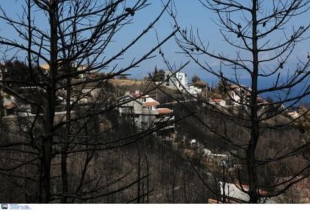 Φωτιές – Ιούλιος: Καταγράφηκαν τα υψηλότερα επίπεδα καμένων εκτάσεων των τελευταίων 13 ετών στην Ελλάδα
