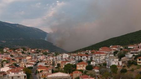 Πυρκαγιά κοντά σε σπίτια στο Στείρι (ΒΙΝΤΕΟ - ΦΩΤΟ)