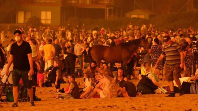 Αυστραλοί στην παραλία για να σωθούν από φωτιά [εικόνα]