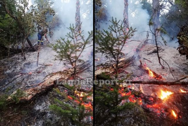 Μάχη με τους κεραυνούς και τις φλόγες στη Φθιώτιδα - Δείτε εικόνες