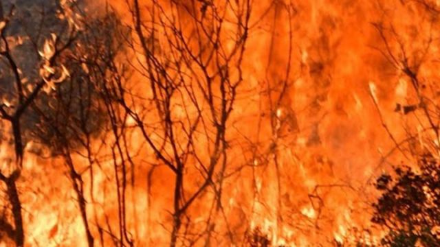 Σουφλί: Συνεχίζεται η επιχείρηση κατάσβεσης της πυρκαγιάς