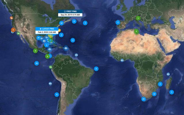 Δείτε live πού βρίσκονται 416 λευκοί καρχαρίες και γιατί τους παρακολουθεί η επιστήμη