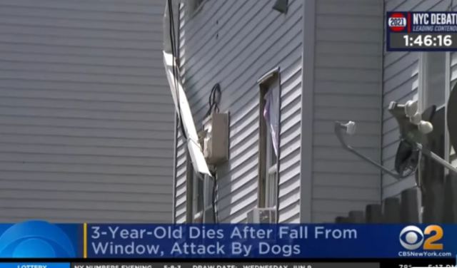 Τρίχρονος έπεσε από παράθυρο και τον κατασπάραξαν σκυλιά