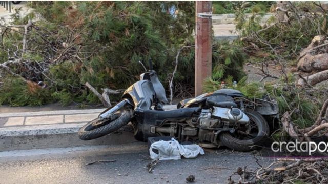 Απίστευτη τραγωδία στο Ηράκλειο Κρήτης – Νεκρός 50χρονος μοτοσικλετιστής που καταπλακώθηκε από δέντρο