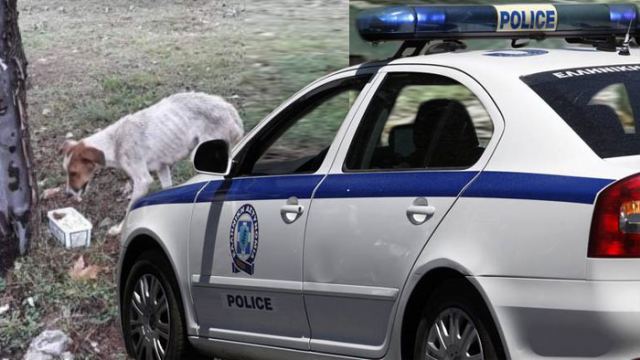 Λαμία: Συνελήφθη 44χρονος που είχε υποσιτισμένο το σκυλί του