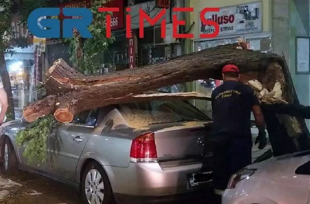 Δέντρο καταπλάκωσε αυτοκίνητο στο κέντρο της πόλης