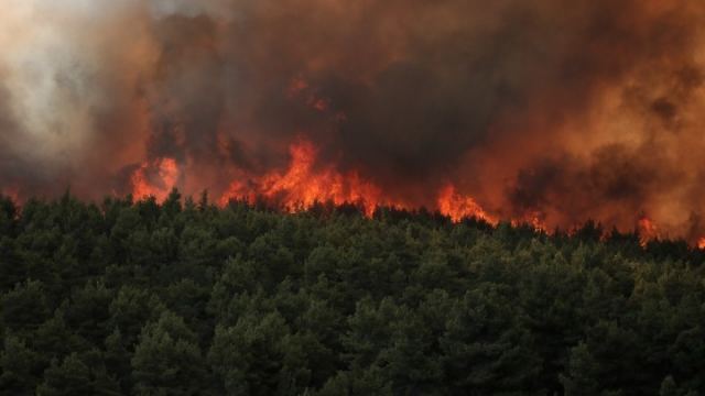 Εύβοια: Κινδυνεύουν άλλα δύο χωριά από τις φλόγες