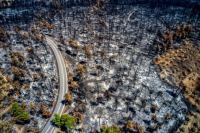 Πώς προχωρά η ανασυγκρότηση της Βόρειας Εύβοιας, ένα χρόνο από την πυρκαγιά