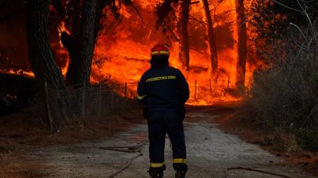 Φωτιές: Οι καμένες εκτάσεις στην Ελλάδα φέτος ήταν περίπου 200.000 στρέμματα - Βοήθησε το ότι δεν ήταν «θερμό» καλοκαίρι