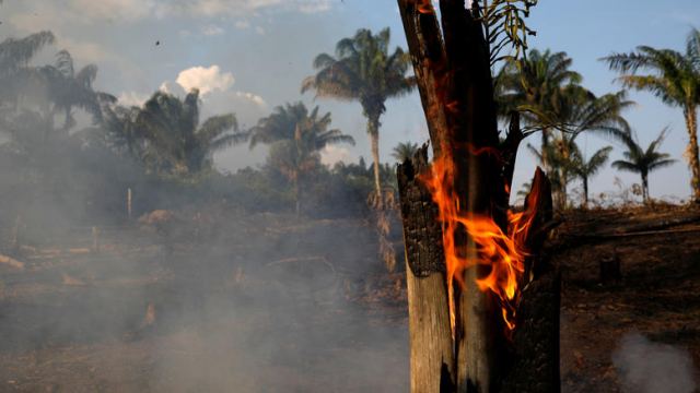 Ο Αμαζόνιος καίγεται και ο Μπολσονάρου κατηγορεί τις ΜΚΟ για εμπρησμό!