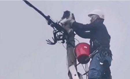 Επιχείρηση διάσωσης γάτας που ήταν εγκλωβισμένη 30 ώρες σε κολώνα της ΔΕΗ (video)