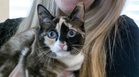 Γάτα... ταχυδρομήθηκε κατά λάθος στην Καλιφόρνια - Δείτε πως επέστρεψε στην οικογένεια της