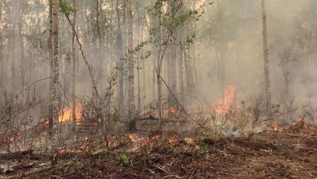 Οικολογική καταστροφή στον Καναδά: Οι πυρκαγιές έχουν κάψει 60 εκατ. στρέμματα και έρχεται νέος καύσωνας