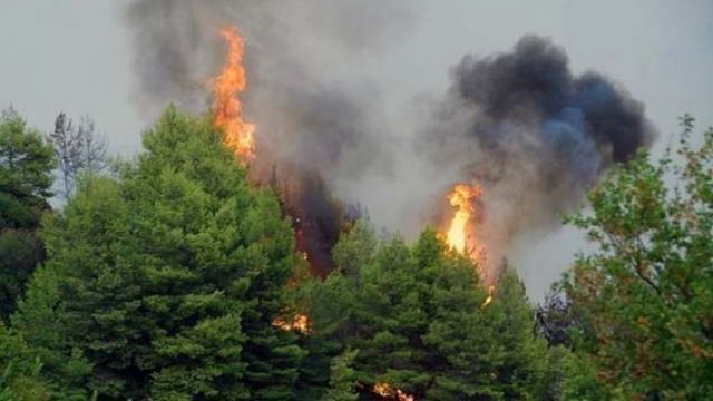 Βόλος: Πυρκαγιά στην περιοχή Περίβλεπτο - Δεν απειλούνται κατοικημένες περιοχές
