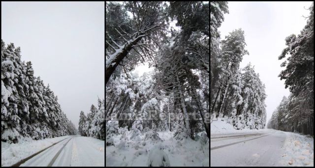 Δείτε πανέμορφες εικόνες από το χιονισμένο Τυμφρηστό Φθιώτιδας!