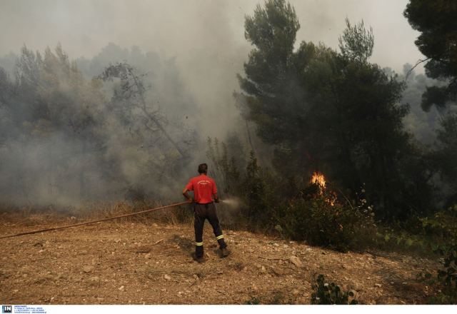 Σε εξέλιξη μεγάλη φωτιά σε δασική έκταση στην Κρήτη