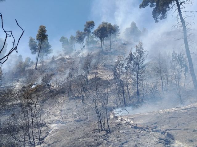 Πυρκαγιά σε γεωργική έκταση - Σηκώθηκαν τα PZL