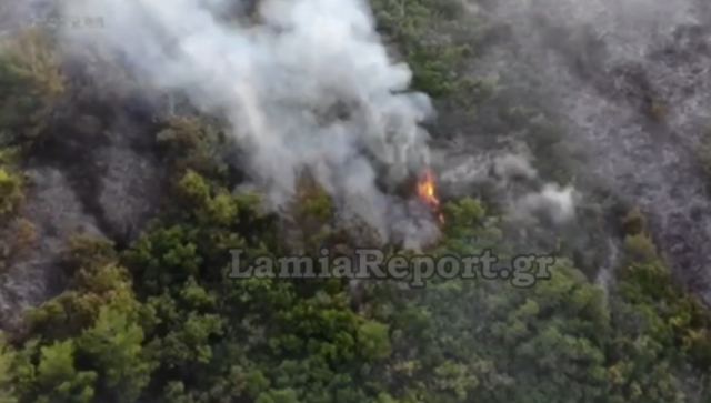 Φθιώτιδα: Δείτε από ψηλά τη φωτιά στο Γουλέμι Λοκρίδας - ΒΙΝΤΕΟ
