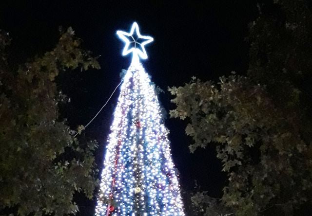 Στυλίδα: Το Σάββατο το άναμμα του Χριστουγεννιάτικου δέντρου