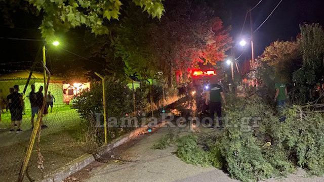 Δέντρο καταπλάκωσε γυναίκα στο ΚΑΑΥ Καραβομύλου (ΒΙΝΤΕΟ-ΦΩΤΟ)