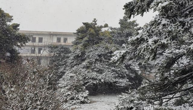 Πυκνή χιονόπτωση σε περιοχές της Εύβοιας