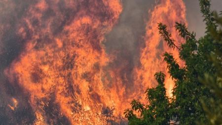 ΓΓΠΠ: Πολύ υψηλός κίνδυνος πυρκαγιάς (κατηγορία κινδύνου 4) την Τετάρτη για 5 περιφέρειες