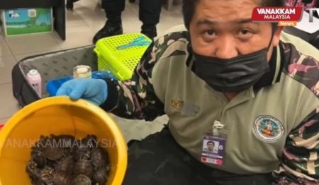 Μπανγκόκ: Προσπάθησαν να ταξιδέψουν με 109 άγρια ζώα σε βαλίτσες - Χελώνες, σαύρες, φίδια